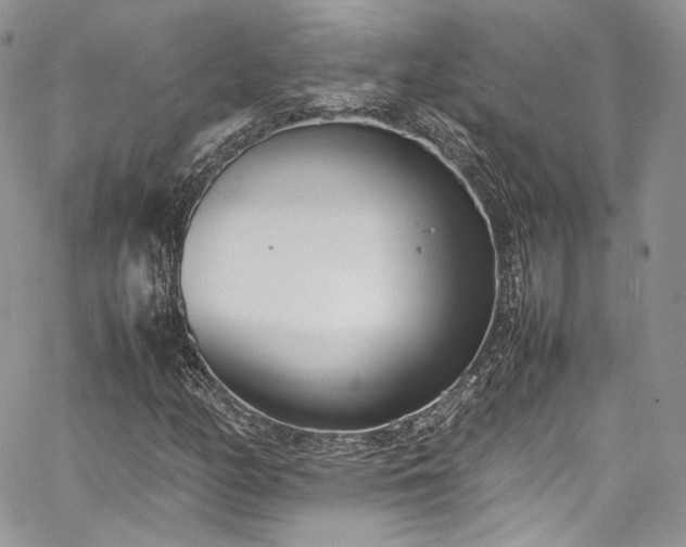 X0000067951158200604201424