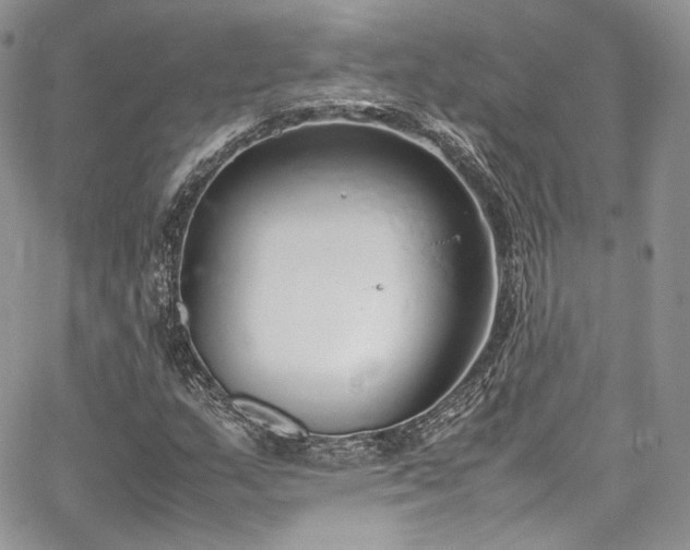 X0000067951159200604201424