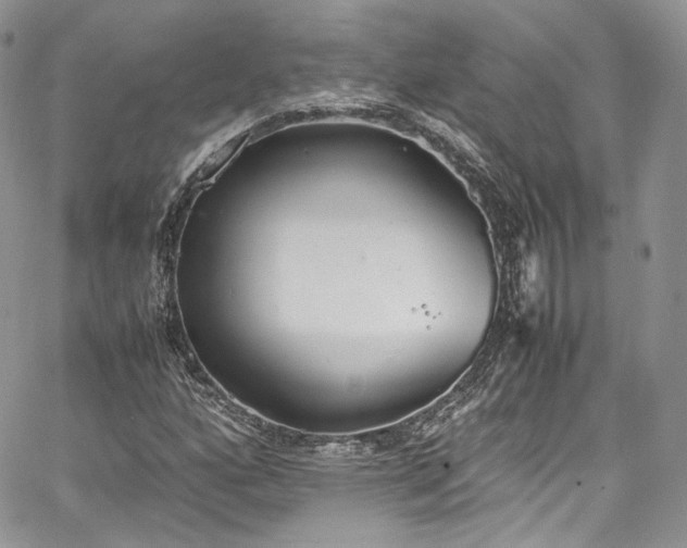 X0000067951160200604201424