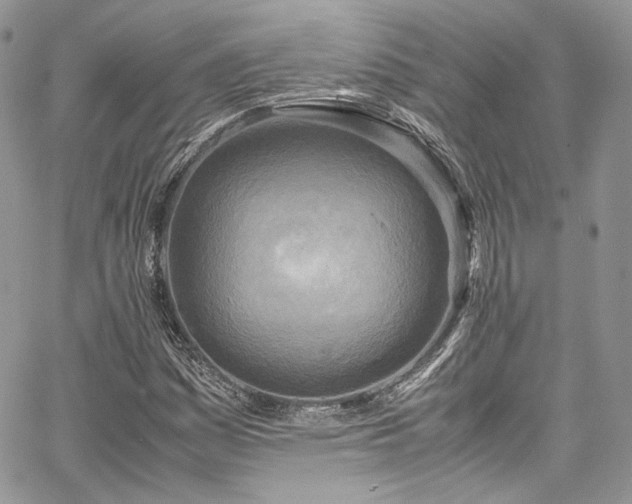 X0000067951161200604201424