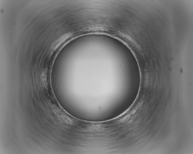 X0000067951162200604201424