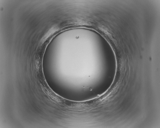 X0000067951163200604201424