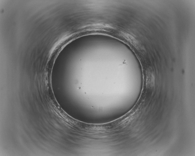 X0000067951164200604201424