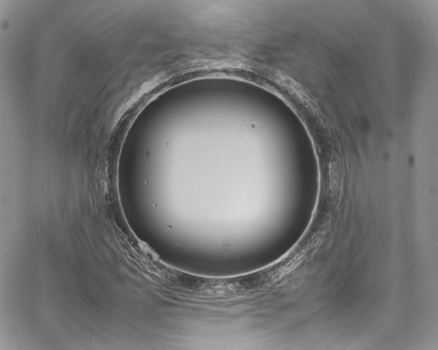 X0000067951165200604201424