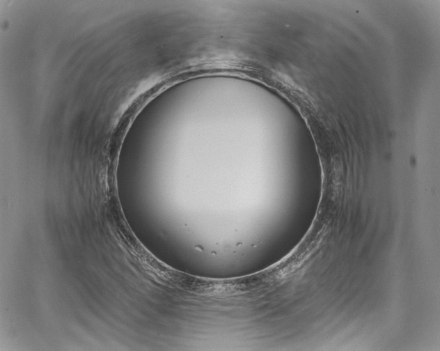 X0000067951166200604201424