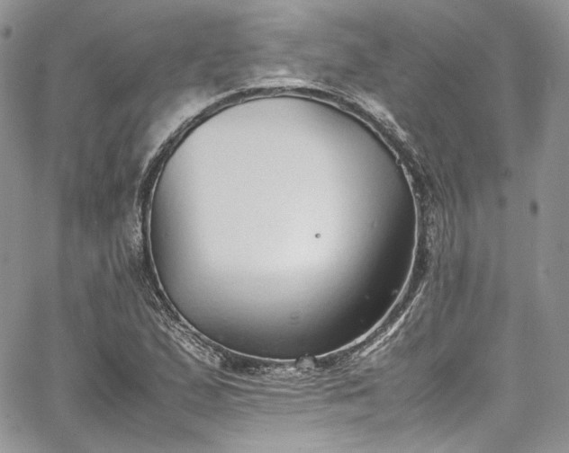 X0000067951167200604201424