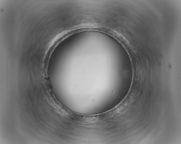 X0000067951168200604201424