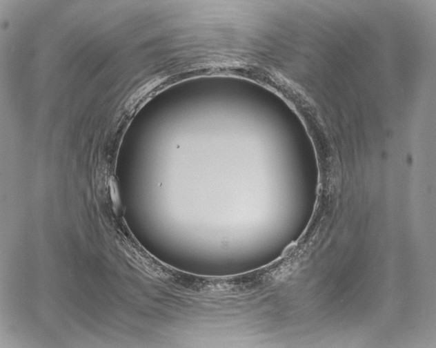 X0000067951169200604201424