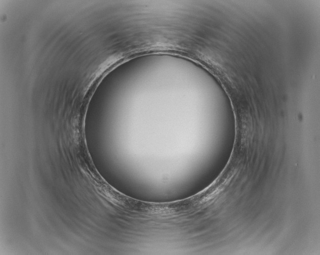 X0000067951170200604201423