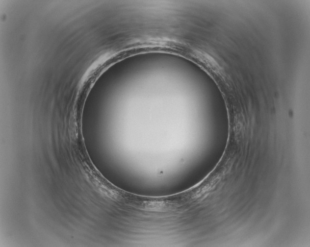 X0000067951172200604201423