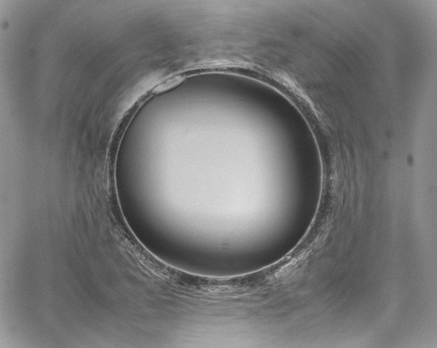 X0000067951173200604201423