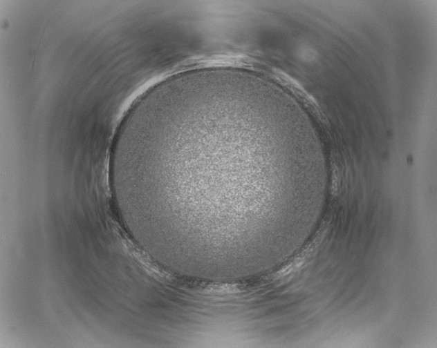 X0000067951174200604201423