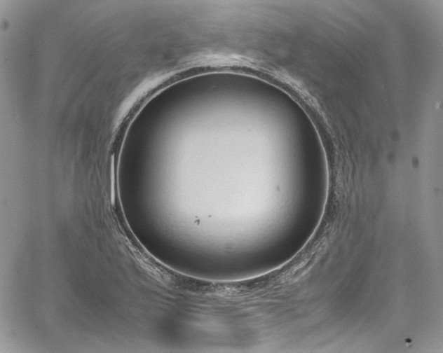 X0000067951175200604201423