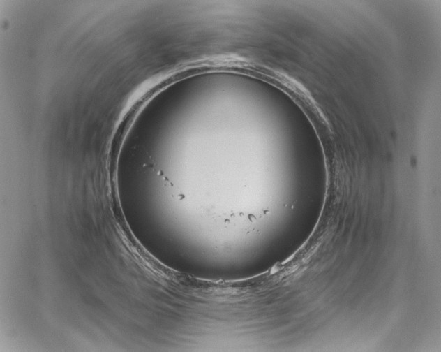 X0000067951176200604201423