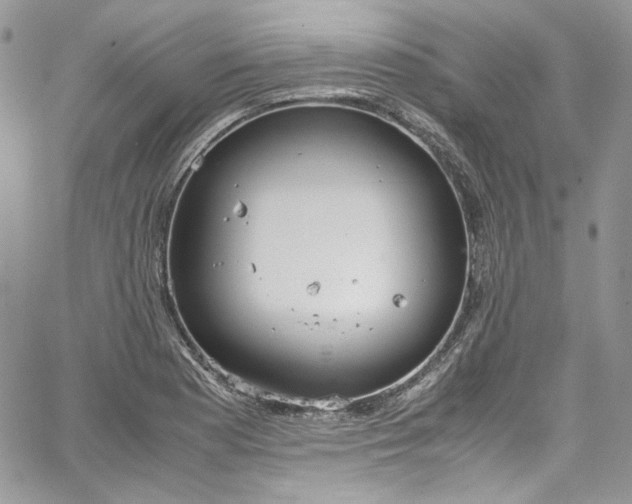 X0000067951177200604201423