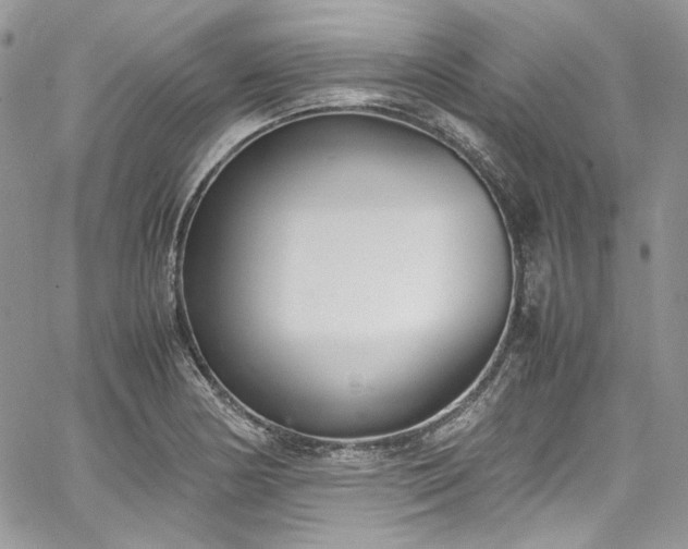 X0000067951178200604201423