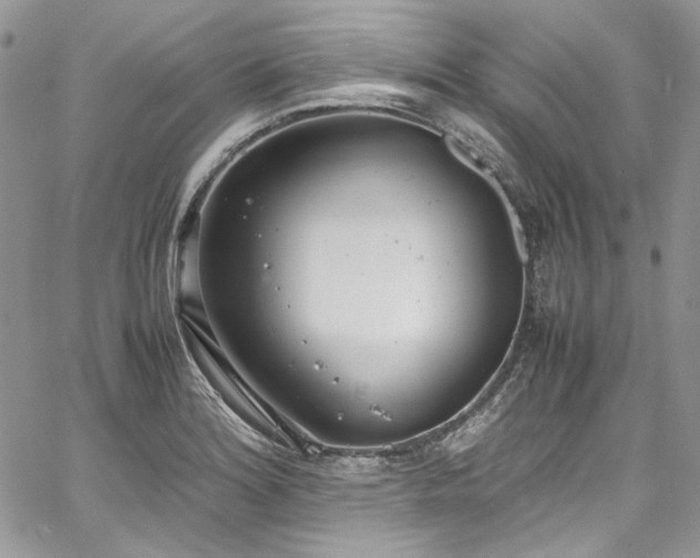 X0000067951180200604201423