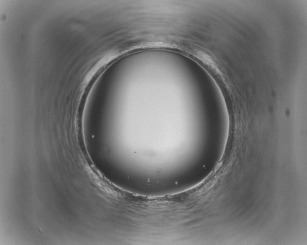 X0000067951181200604201423