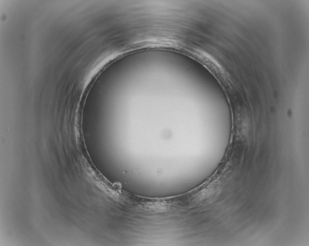 X0000067951182200604201423