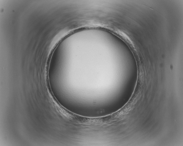 X0000067951183200604201423