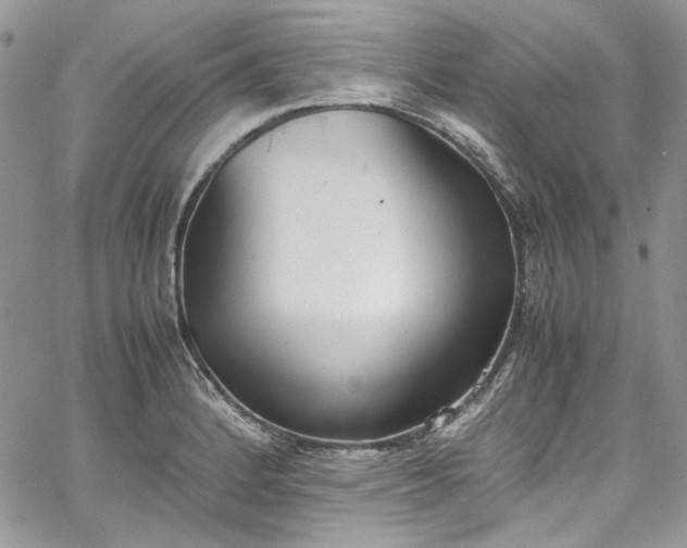 X0000067951184200604201423