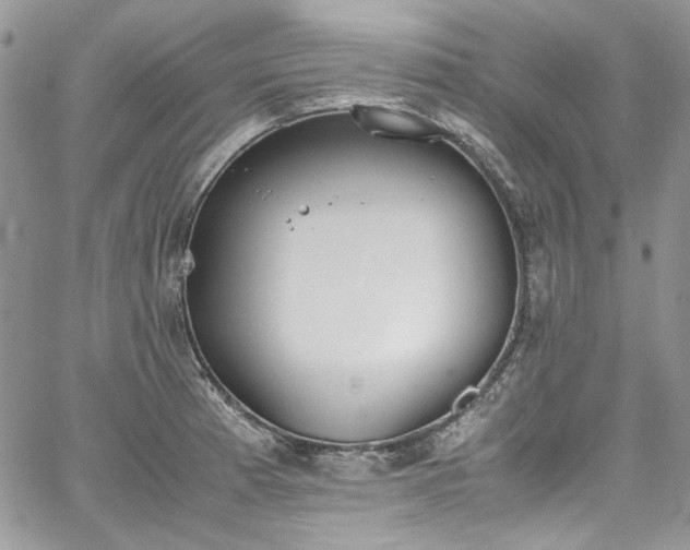 X0000067951185200604201423