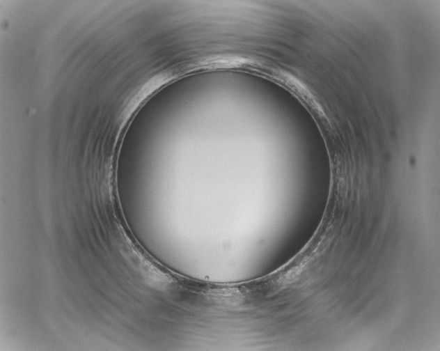 X0000067951186200604201423