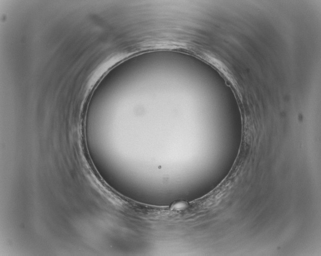 X0000067951187200604201423