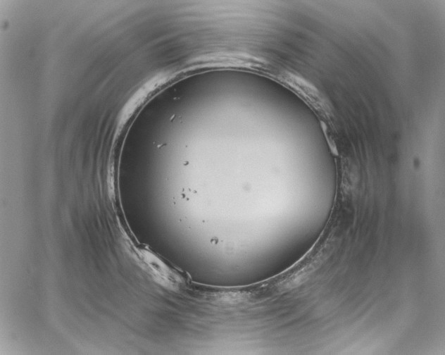 X0000067951188200604201423