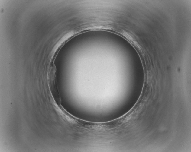 X0000067951189200604201423