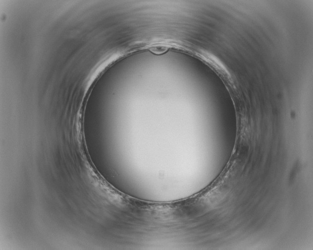 X0000067951190200604201423