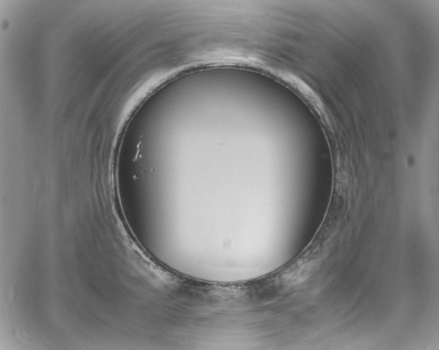 X0000067951191200604201423