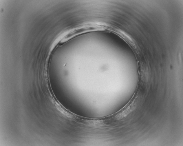 X0000067951192200604201423