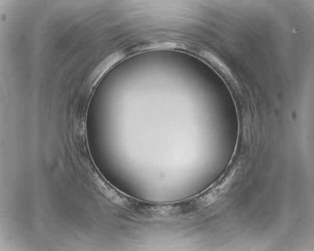 X0000067951193200604201423