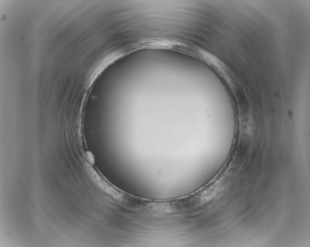 X0000067951194200604201423