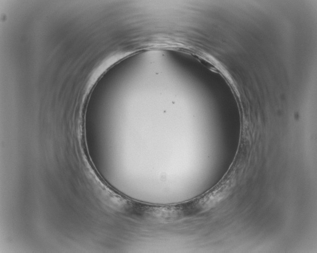 X0000067951195200604201423