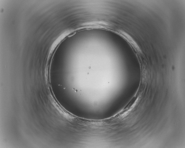 X0000067951196200604201423