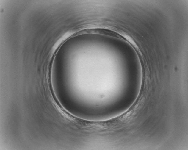 X0000067951197200604201423