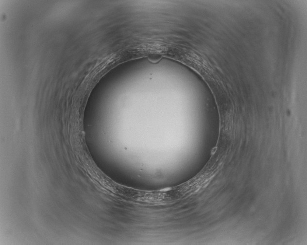 X0000067951201200604201422