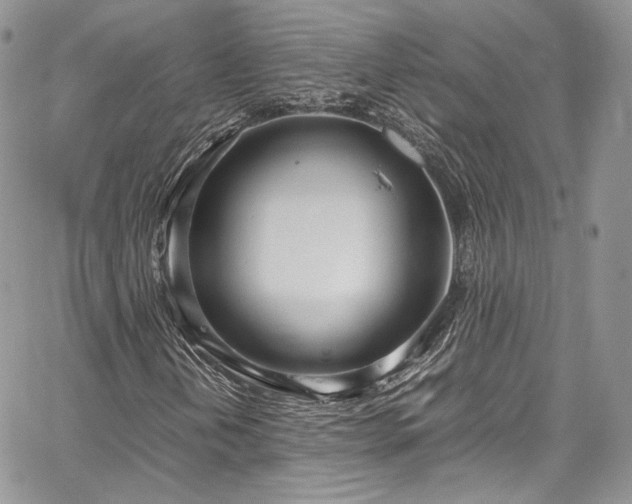 X0000067951202200604201422