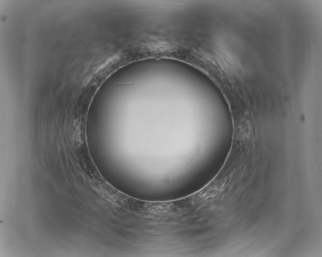 X0000067951205200604201422