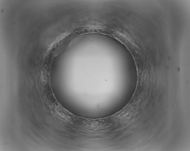 X0000067951207200604201422