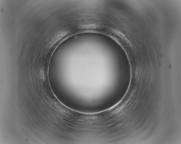 X0000067951209200604201422