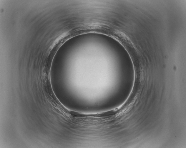 X0000067951210200604201422