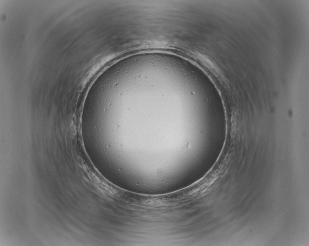 X0000067951212200604201422