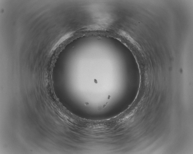 X0000067951213200604201422