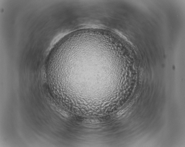 X0000067951215200604201422