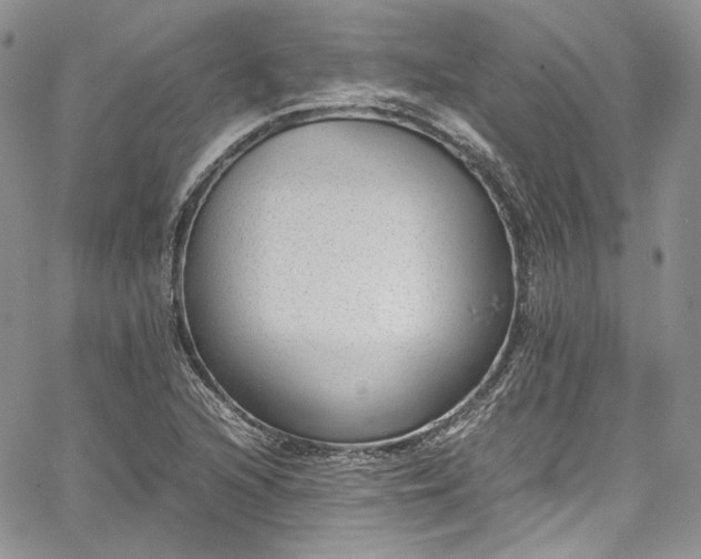 X0000067951216200604201422