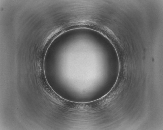 X0000067951218200604201423