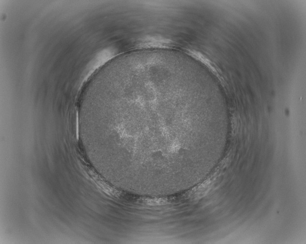 X0000067951219200604201423